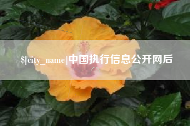 禹城中国执行信息公开网后