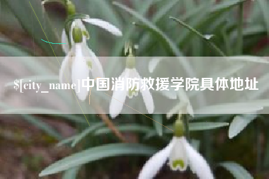 禹城中国消防救援学院具体地址