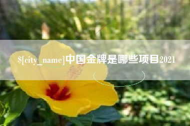 禹城中国金牌是哪些项目2021