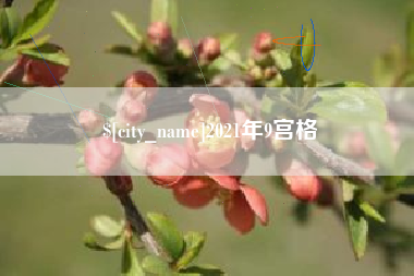 禹城2021年9宫格