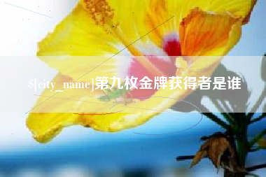 禹城第九枚金牌获得者是谁