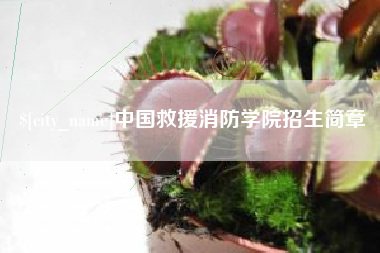 禹城中国救援消防学院招生简章