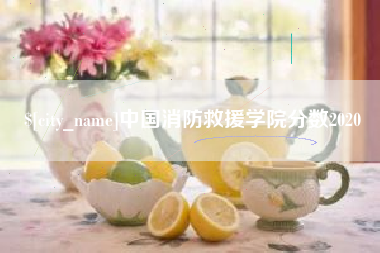 禹城中国消防救援学院分数2020