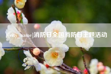 禹城消防日全国消防日主题活动