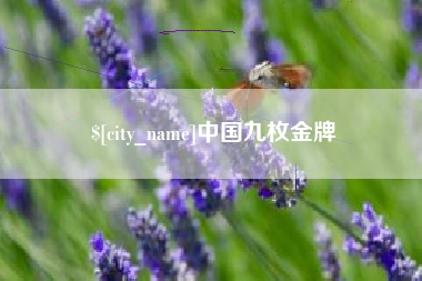 禹城中国九枚金牌