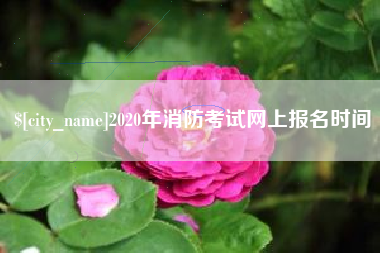 禹城2020年消防考试网上报名时间