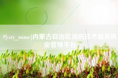 禹城内蒙古自治区消防技术服务执业管理平台
