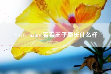 禹城看看王子豪长什么样