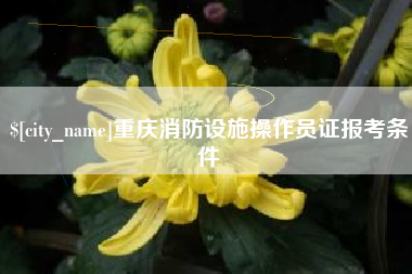 禹城重庆消防设施操作员证报考条件