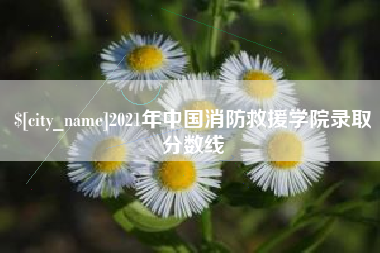 禹城2021年中国消防救援学院录取分数线