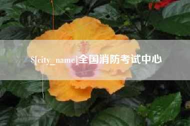 禹城全国消防考试中心