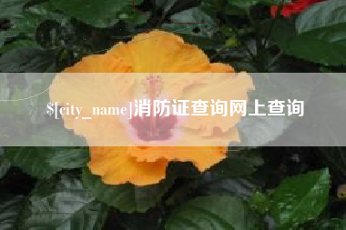 禹城消防证查询网上查询