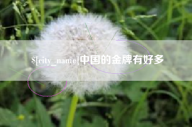 禹城中国的金牌有好多