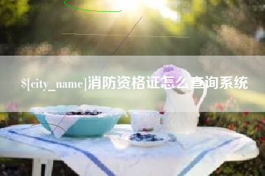 禹城消防资格证怎么查询系统