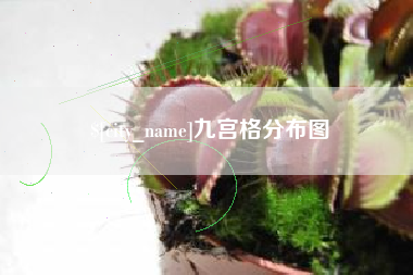 禹城九宫格分布图