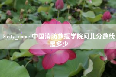 禹城中国消防救援学院河北分数线是多少
