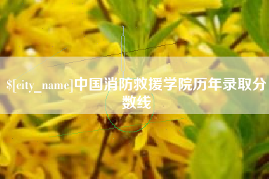 禹城中国消防救援学院历年录取分数线