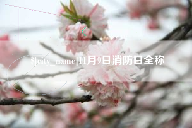 禹城11月9日消防日全称