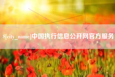 禹城中国执行信息公开网官方服务