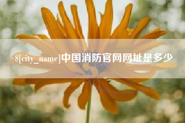 禹城中国消防官网网址是多少