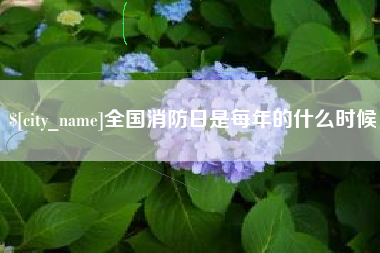 禹城全国消防日是每年的什么时候