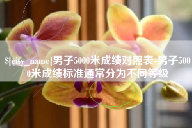 禹城男子5000米成绩对照表-男子5000米成绩标准通常分为不同等级