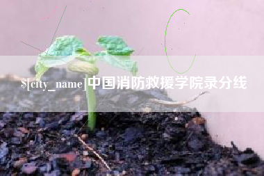 禹城中国消防救援学院录分线
