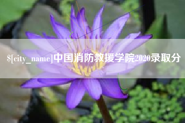 禹城中国消防救援学院2020录取分