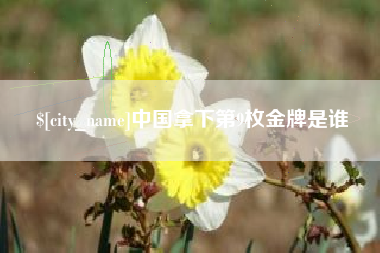禹城中国拿下第9枚金牌是谁