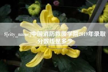 禹城中国消防救援学院2019年录取分数线是多少