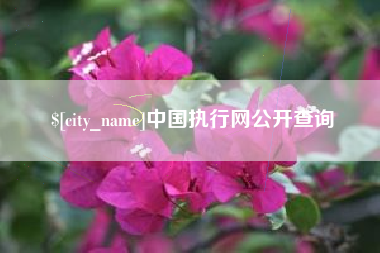 禹城中国执行网公开查询