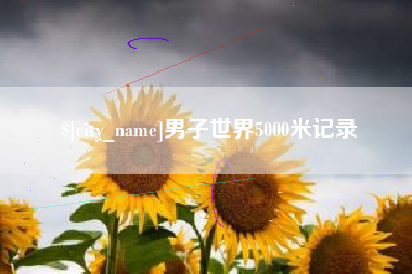 禹城男子世界5000米记录
