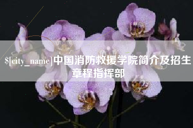 禹城中国消防救援学院简介及招生章程指挥部
