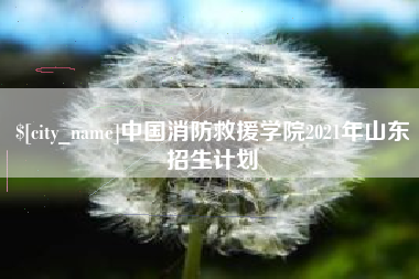 禹城中国消防救援学院2021年山东招生计划