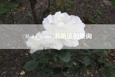 禹城消防证的查询