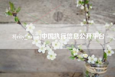 禹城中国执行信息公开平台
