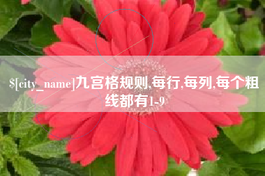 禹城九宫格规则,每行,每列,每个粗线都有1-9