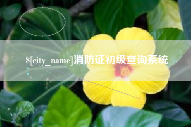 禹城消防证初级查询系统