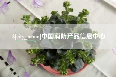 禹城中国消防产品信息中心