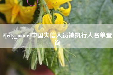 禹城中国失信人员被执行人名单查询