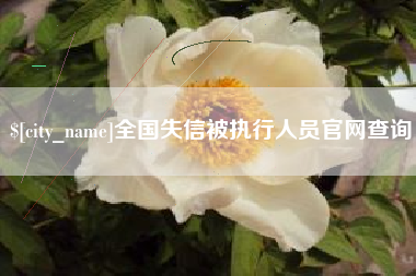 禹城全国失信被执行人员官网查询
