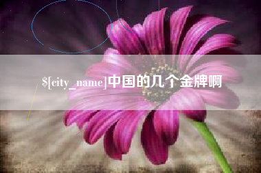禹城中国的几个金牌啊