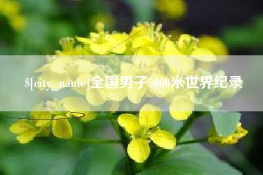 禹城全国男子5000米世界纪录