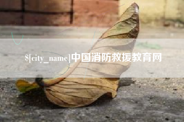 禹城中国消防救援教育网