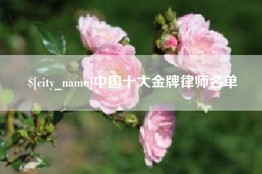 禹城中国十大金牌律师名单
