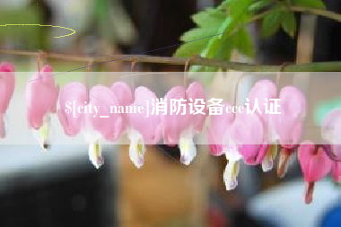 禹城消防设备ccc认证