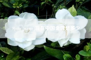 禹城现在中国金牌是多少