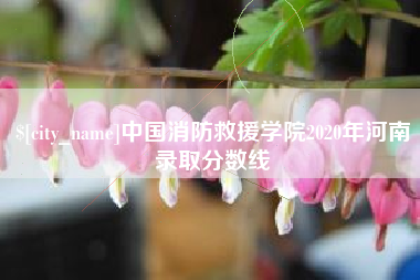 禹城中国消防救援学院2020年河南录取分数线
