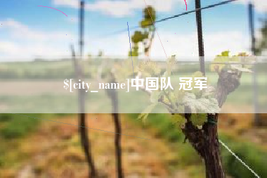 禹城中国队 冠军