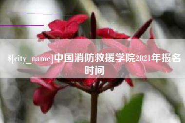 禹城中国消防救援学院2021年报名时间